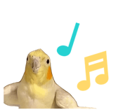 857711158