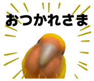 857711167