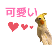 857711171