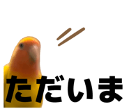 857711174