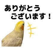 857711180