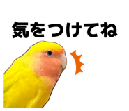 857711181