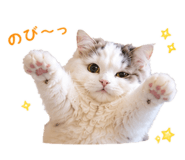 857711220