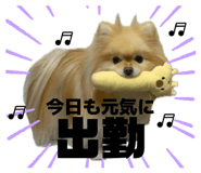 857711368
