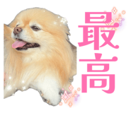 857711371