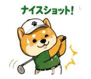 857711377