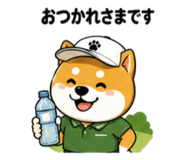 857711379