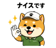 857711384