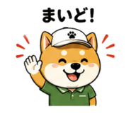 857711389