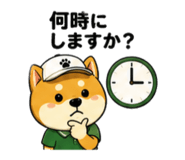 857711392