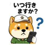857711393