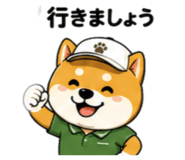 857711394