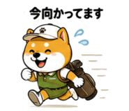 857711397