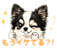 857711541