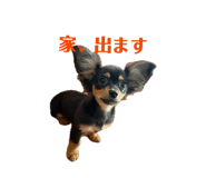 857711681