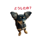 857711688