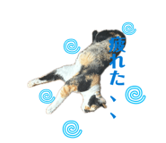 857711828