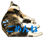 857711830