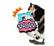 857711831