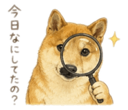 857712017