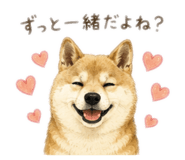 857712022