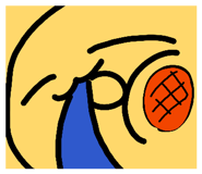 857712172