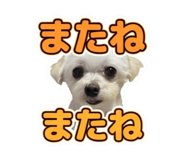 857712245