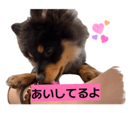 857712256