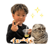 857712315