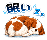 857712793