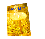 857712802