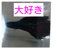 857712808