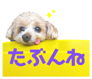 857712814