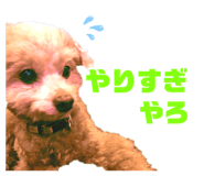 857712816