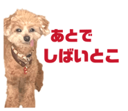 857712827