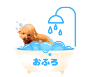 857712838