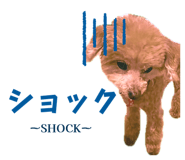 857712842