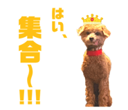 857712846
