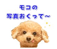857712847