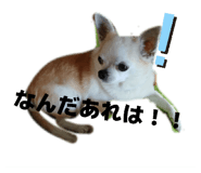 857712871