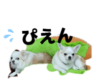 857712873