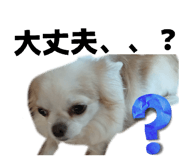 857712882
