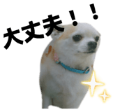 857712885