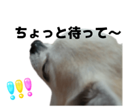 857712886