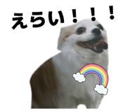 857712887