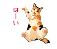 857712955
