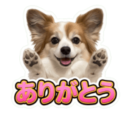 857713103
