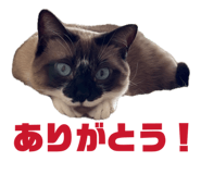857713105