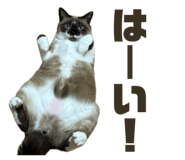 857713106