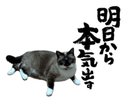 857713112